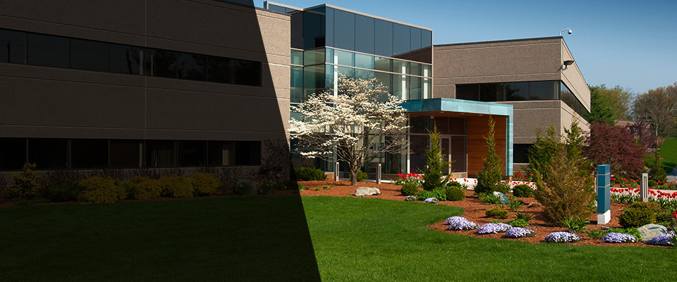 Springhill Landscapers