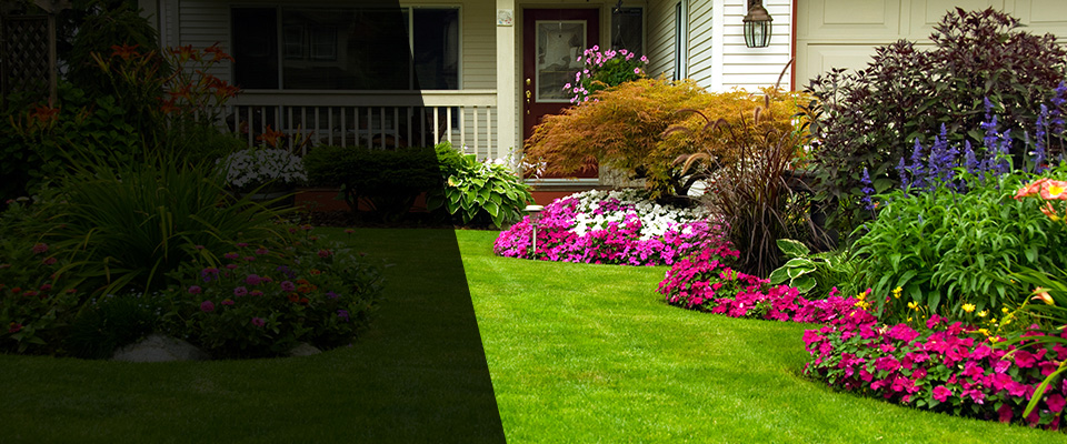 Springhill Landscapers