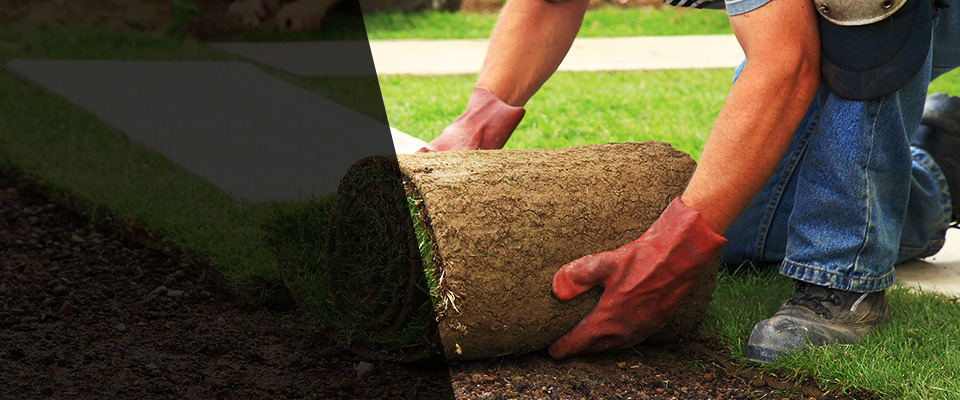 Springhill Landscapers